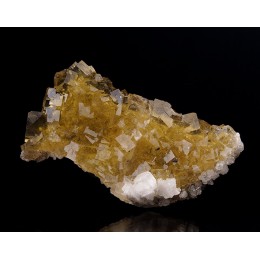 Fluorite, Calcite, Pyrite Moscona Mine - Fluorescent M03803
